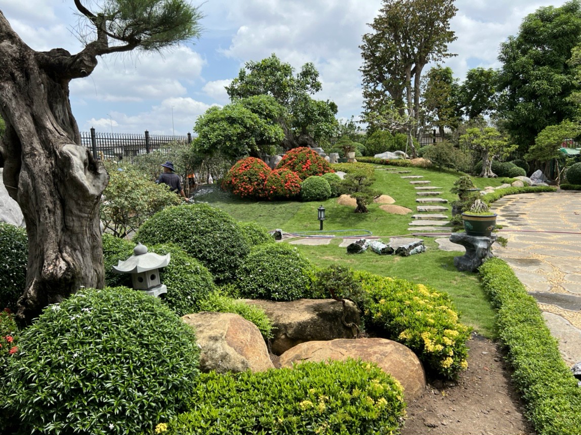 tiểu cảnh nhà gỗ